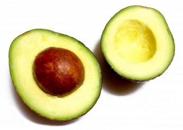 知ってた？！アボカドは観葉植物になるんです！栽培の５つのポイント