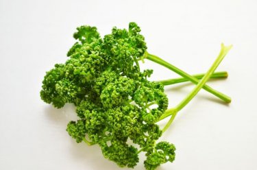 野菜の中でも栄養はトップクラス！パセリに含まれる５つの栄養素