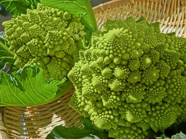 不思議な見た目のロマネスコをおいしく食べられる簡単レシピ５選