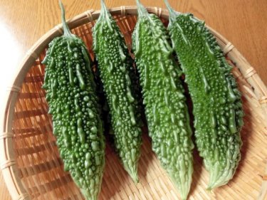 苦味がおいしい！夏野菜ゴーヤの上手な５つの手順や育て方