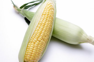 黄色いつぶつぶに栄養がギュッ！トウモロコシから得られる８つの効果