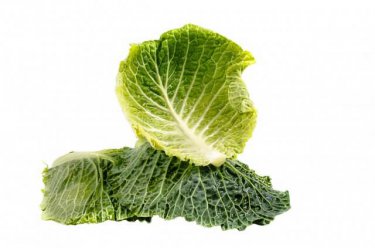 緑黄色野菜の王様！ケールを食べて健康になれる６つの効果