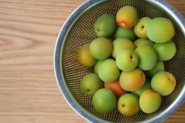 さわやかな酸味がほどよい！梅ジャムを使った絶品レシピ