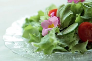 ローマ時代から食べていた？！ロメインレタスを使った美味しいレシピ