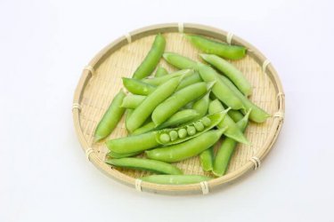 簡単！お手軽！プランターで家庭菜園！スナップエンドウの栽培方法