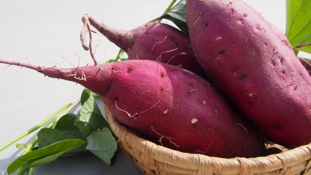 秋の味覚!ほくほくのさつまいもは簡単に栽培できる?!5つのポイント│健康野菜ナビ