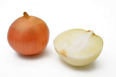 水分も豊富で柔らかい！春先に出る新玉ねぎを美味しい頂くレシピ