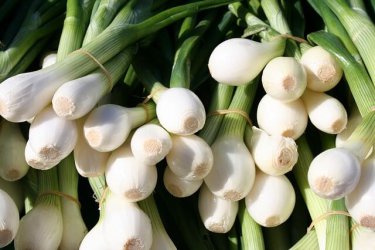 西洋料理の香味野菜！エシャロットをおいしく食べるためのレシピ５選