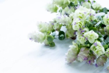 香辛料にも精油にも抜群なオレガノの食べ方とは？相性抜群５つのレシピ