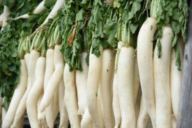 江戸っ子ご存知！！練馬大根で作る驚きのおいしいレシピ５選！！