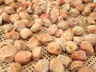 酸味が疲労も回復！老化も防止！？梅酢を使ったオススメの５つのレシピ