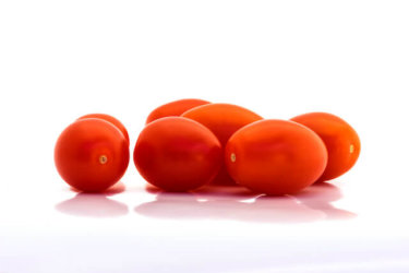 実は簡単に育てられる！ほおずきトマトの５つの育て方ポイント！