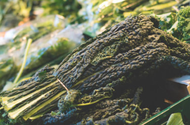 イタリア野菜の黒キャベツ！？カーボロネロを使った美味しいレシピ