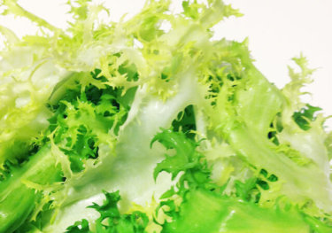 別名ではニガチシャとも呼ばれているエンダイブを使ったレシピ