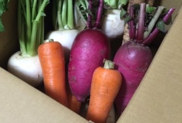 紅大根で健康と美容をキープ！5つの効能とオススメの食べ方