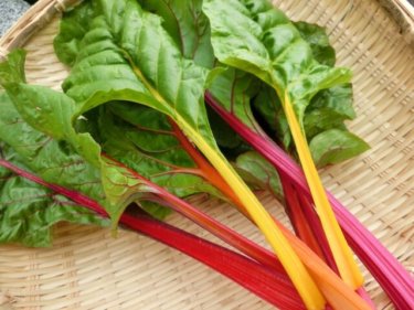 美しいほうれん草フダンソウの栄養で期待できる６つの効果