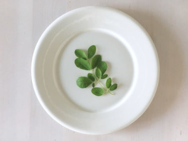 モリンガ茶が様々な健康茶の中で注目を浴びている７つの理由