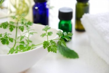 フレンチでお馴染みのハーブ「セルフィーユ」の６つの効能と注意点