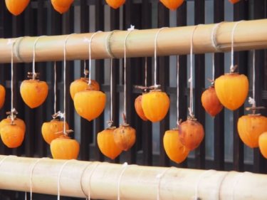 日本の伝統食「干し柿」の優れた栄養効果と特性５選