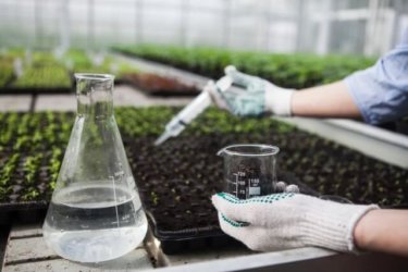 より安全に！野菜から農薬を綺麗に落とす５つの洗い方